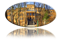SZSVZS logo